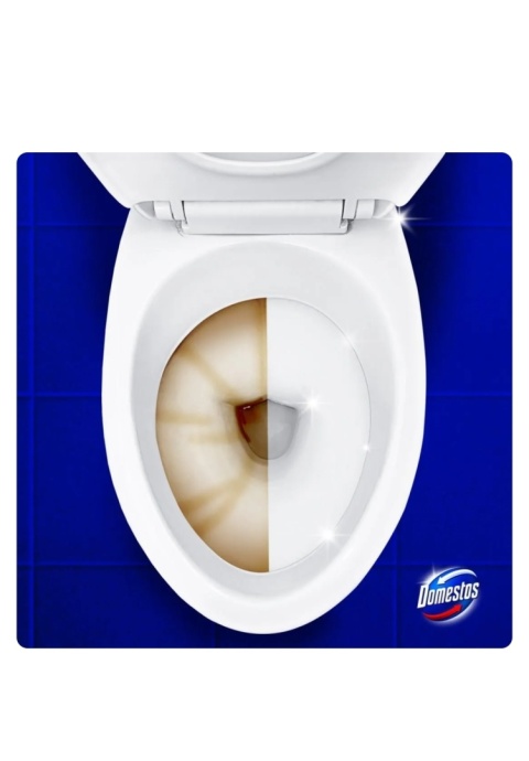 Domestos płyn do WC 1L Citrus