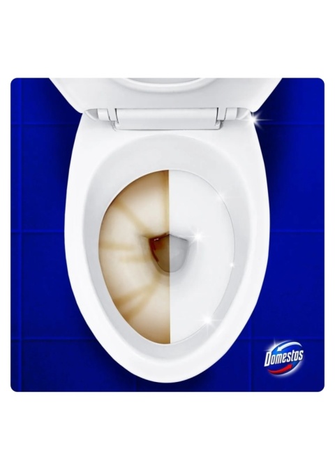 Domestos płyn do WC 1L Pine