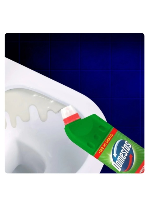 Domestos płyn do WC 1L Pine