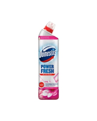 Domestos żel do WC Power Fresh 700ml Floral Fresh