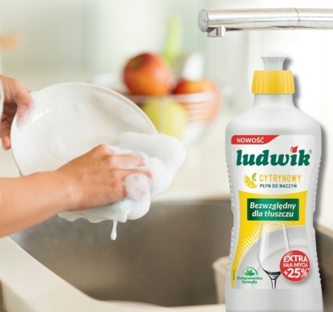 Ludwik płyn do mycia naczyń 450g Cytryna